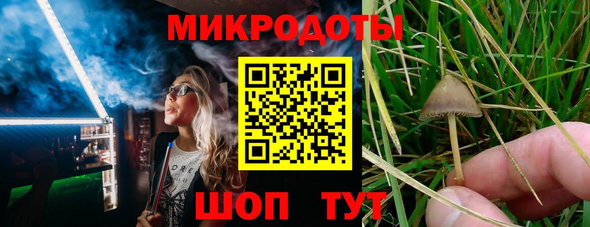 Псилоцибиновые грибы Cubensis Якутск